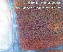 Вертолет, 2004 № 3 - pic_41.jpg