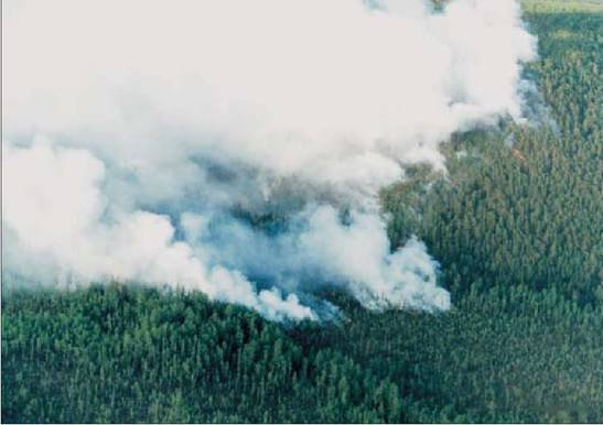 Вертолет 2003 01 - pic_16.jpg