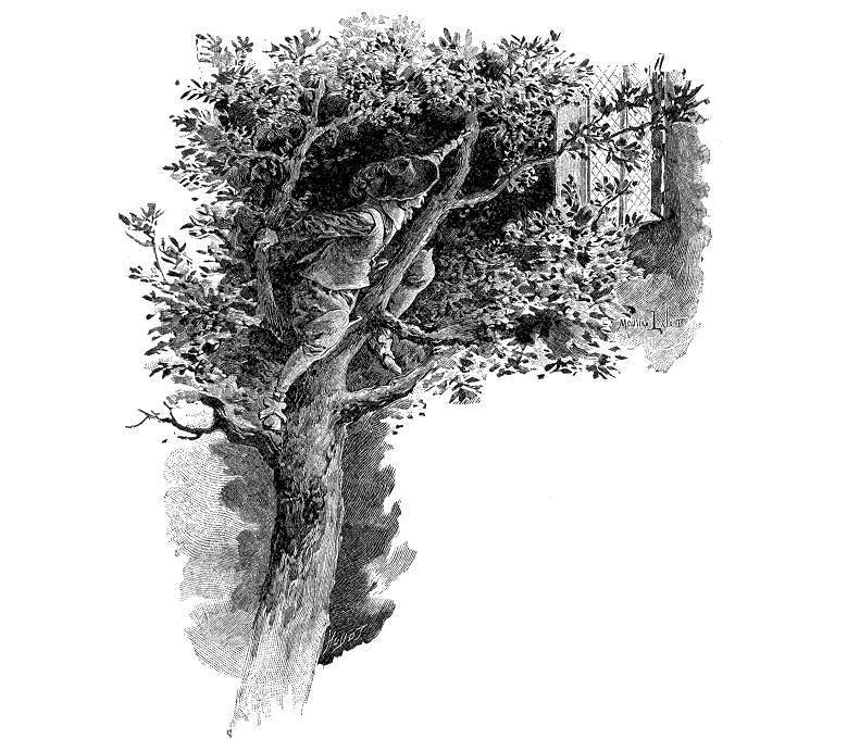 Три мушкетера(ил. М.Лелуара) - _92.jpg