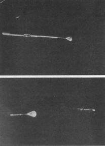 Мир Авиации 2007 01 - pic_26.jpg