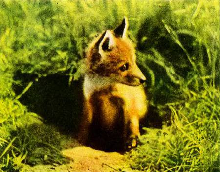 Юный техник, 1956 № 03 - _28.jpg