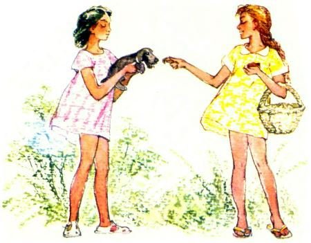 Необычайные приключения собаки Дульки с четверга до субботы в одно жаркое лето - i_032.jpg