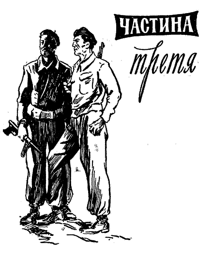 І один у полі воїн - i_010.png