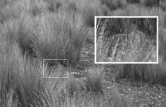 Подорож на Пуп Землі. Т. 1 - i_002.jpg