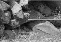 Подорож на Пуп Землі. Т. 1 - i_011.jpg