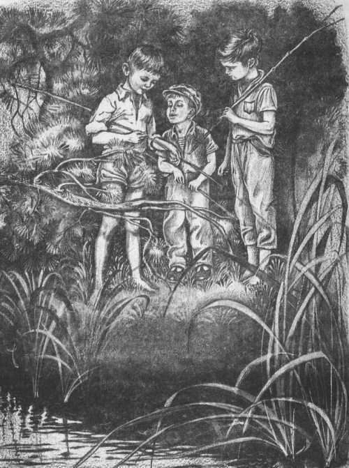 Медведь и бабочка - i_008.jpg