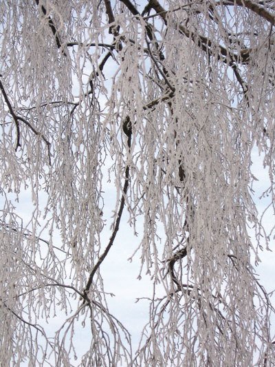 Цифровая фотография от А до Я - _135.jpg