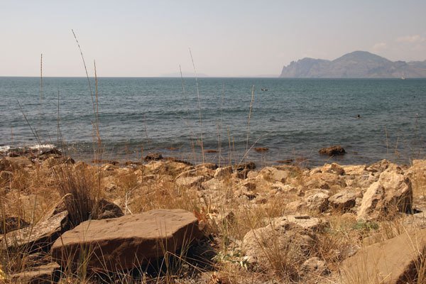 Цифровая фотография от А до Я - _129.jpg