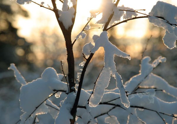 Цифровая фотография от А до Я - _138.jpg