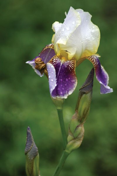 Цифровая фотография от А до Я - _161.jpg