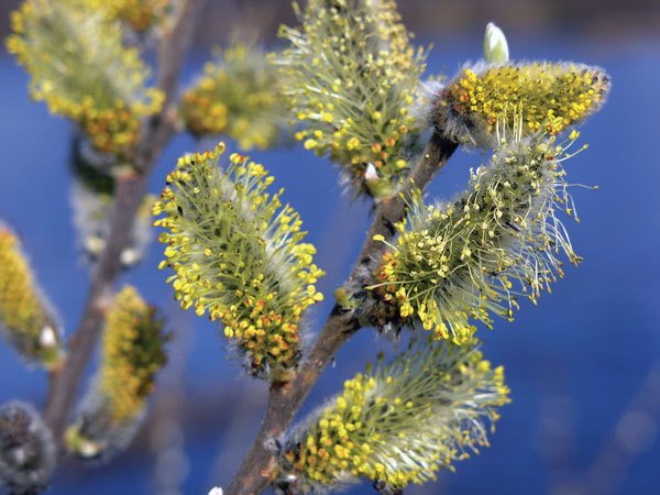 Цифровая фотография от А до Я - _165.jpg