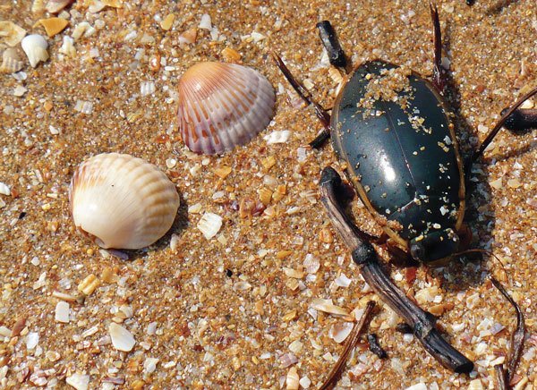 Цифровая фотография от А до Я - _170.jpg