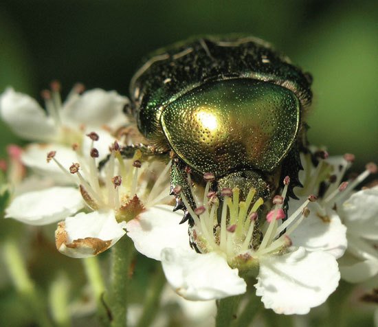 Цифровая фотография от А до Я - _171.jpg