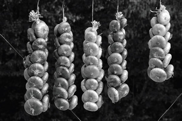 Цифровая фотография от А до Я - _199.jpg