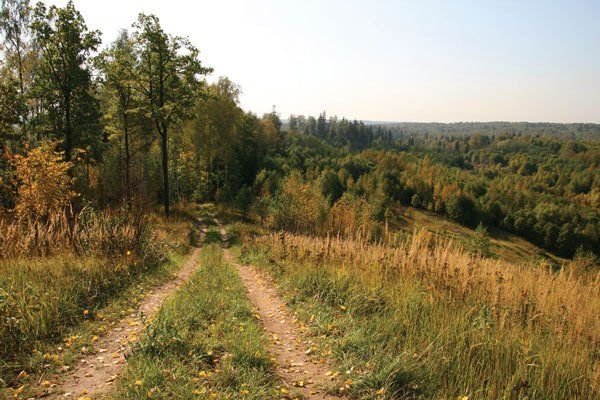 Цифровая фотография от А до Я - _127.jpg