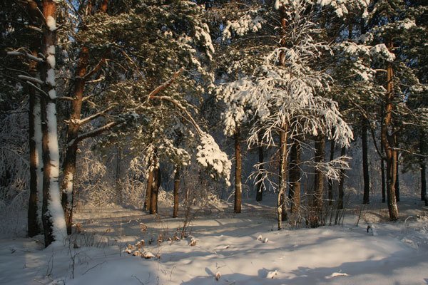 Цифровая фотография от А до Я - _132.jpg