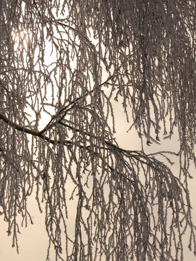 Цифровая фотография от А до Я - _136.jpg