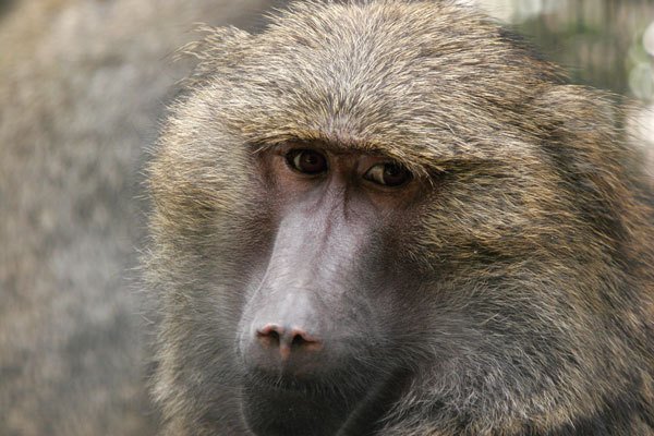 Цифровая фотография от А до Я - _143.jpg