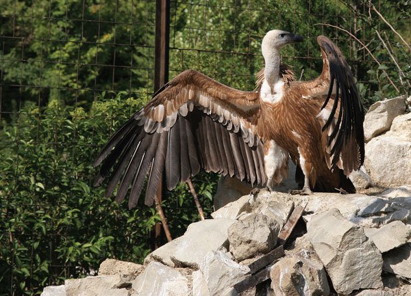 Цифровая фотография от А до Я - _144.jpg