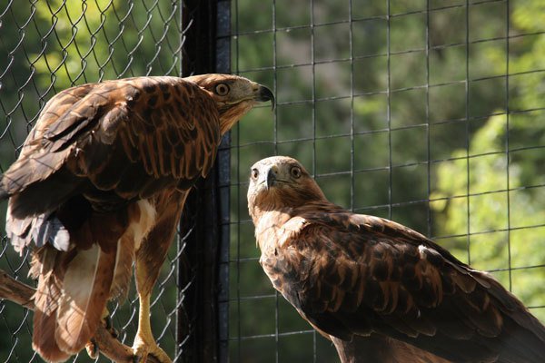 Цифровая фотография от А до Я - _147.jpg