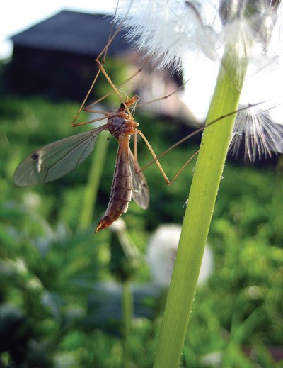 Цифровая фотография от А до Я - _158.jpg