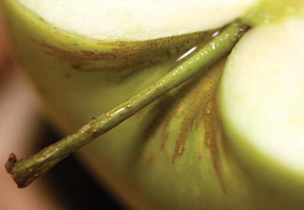 Цифровая фотография от А до Я - _167.jpg