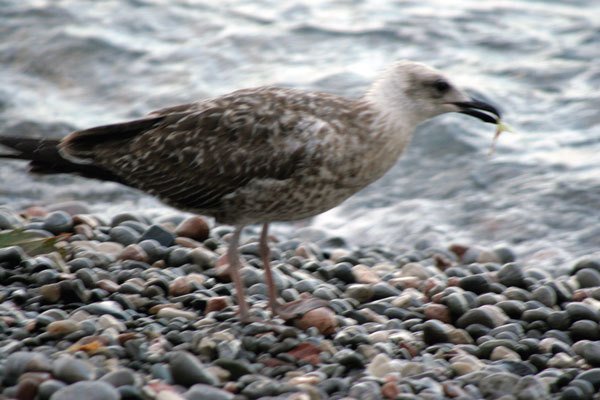 Цифровая фотография от А до Я - _173.jpg