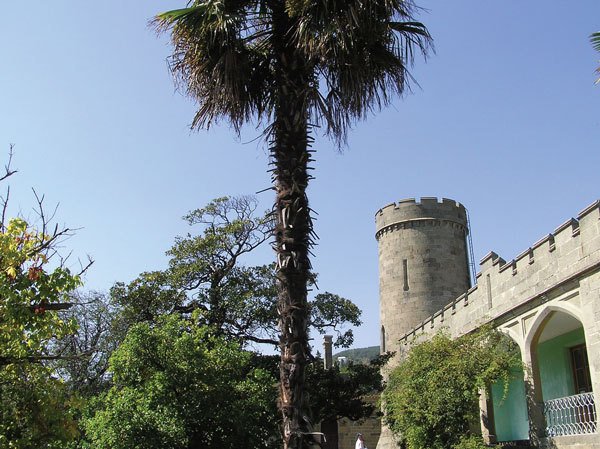 Цифровая фотография от А до Я - _178.jpg