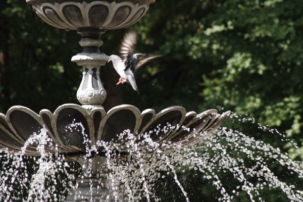 Цифровая фотография от А до Я - _51.jpg