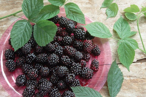 Цифровая фотография от А до Я - _97.jpg