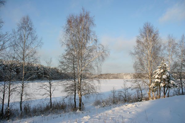 Цифровая фотография от А до Я - _139.jpg