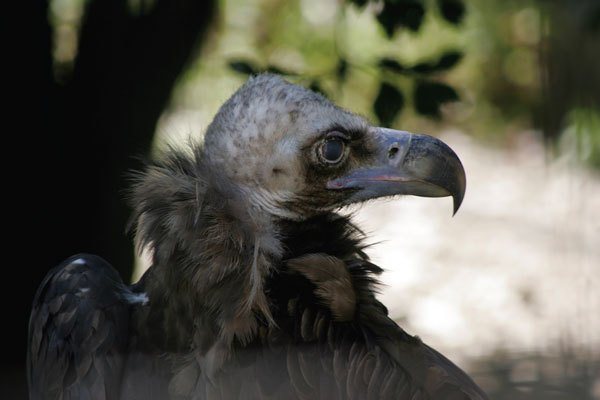 Цифровая фотография от А до Я - _146.jpg