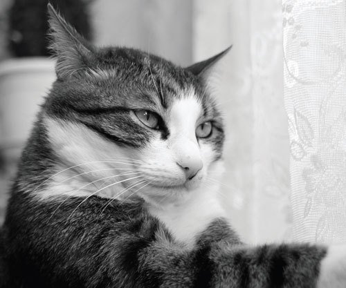 Цифровая фотография от А до Я - _154.jpg