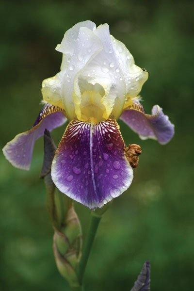 Цифровая фотография от А до Я - _163.jpg