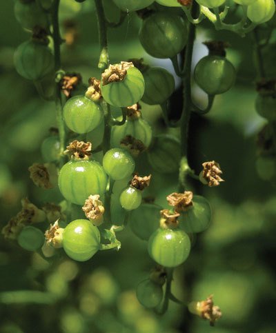 Цифровая фотография от А до Я - _164.jpg