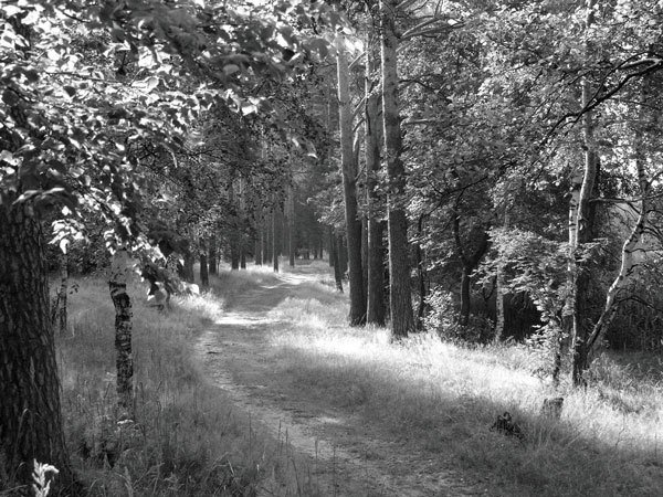 Цифровая фотография от А до Я - _198.jpg