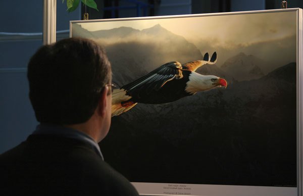 Цифровая фотография от А до Я - _205.jpg