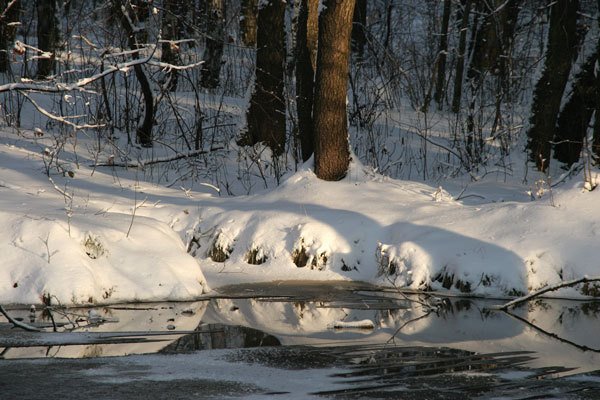 Цифровая фотография от А до Я - _133.jpg