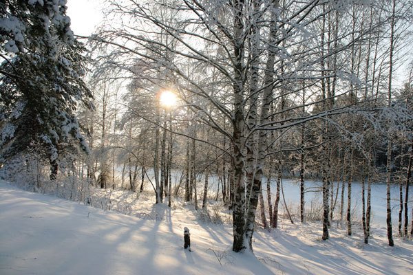 Цифровая фотография от А до Я - _134.jpg