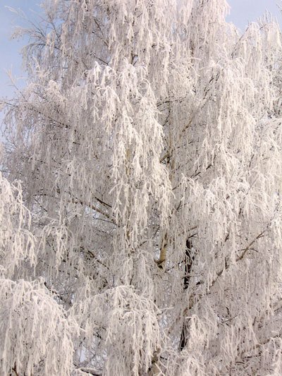 Цифровая фотография от А до Я - _137.jpg