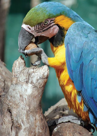 Цифровая фотография от А до Я - _141.jpg