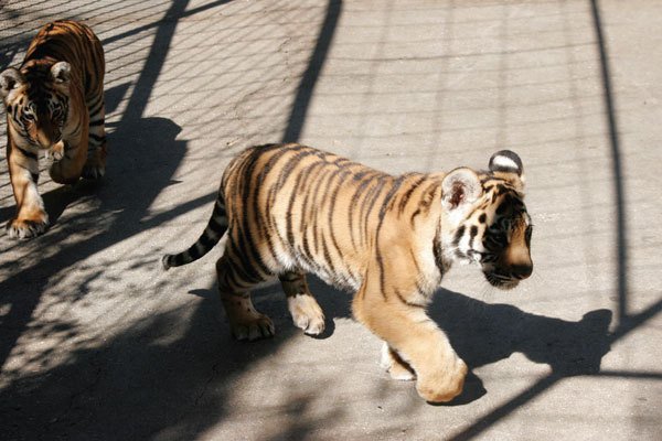 Цифровая фотография от А до Я - _145.jpg