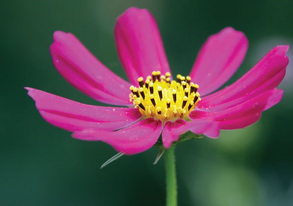 Цифровая фотография от А до Я - _157.jpg