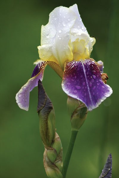 Цифровая фотография от А до Я - _162.jpg