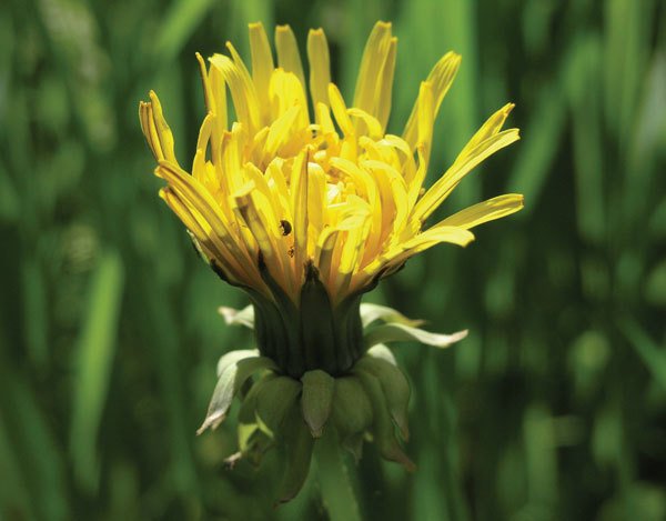 Цифровая фотография от А до Я - _168.jpg