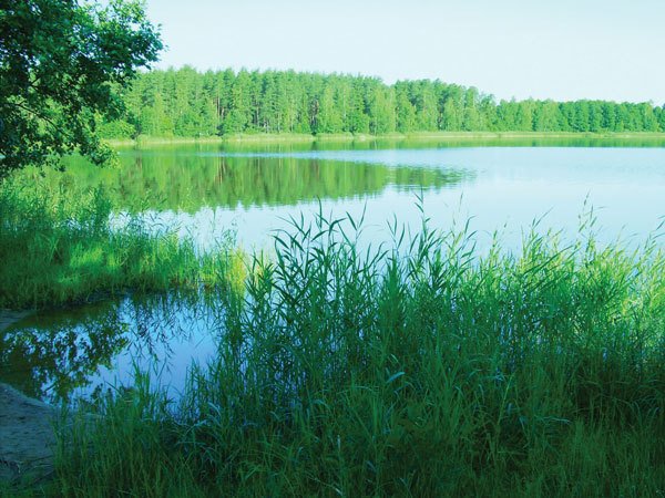 Цифровая фотография от А до Я - _172.jpg