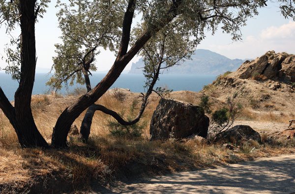 Цифровая фотография от А до Я - _59.jpg