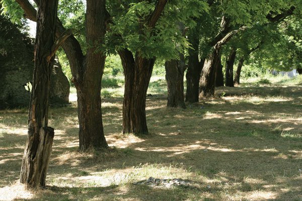 Цифровая фотография от А до Я - _70.jpg