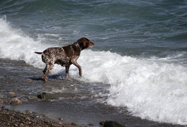 Цифровая фотография от А до Я - _155.jpg