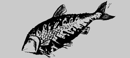 Собаки не ошибаются - img30.png